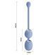 Вагинальные шарики с вибрацией Pretty Love - Willie Dream chaser 5 Blue, BI-014548W-A5