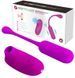 Комплект з віброяйця і вакуумного стимулятора Pretty Love CURUPIRA Multifunctional 2 in 1, BI-014872W