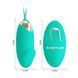 Виброяйцо серии Pretty Love - Julia Dream chaser 2 Green, BI-014362W-4A4