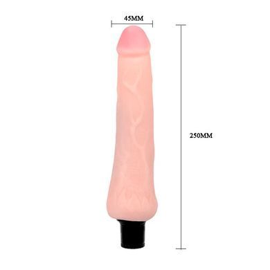 Вибратор "The Realistic Cock" BW-027009