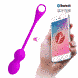 Вагинальные шарики с вибрацией и управлением с смартфона Pretty Love - Elvira, BI-210212HP