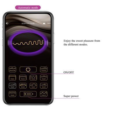 Вібратор для пар зі смарт керуванням Pretty Love - Klay, BI-300093HP