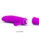 Вибратор серии Pretty Love "ARND" BI-014289