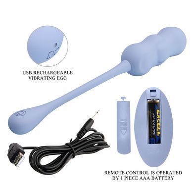Виброяйцо с дистанционным управлением Pretty Love - Leshy Dream Chaser 4 Blue, BI-014868W-A5