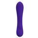 УЦЕНКА - Перезаряжаемый вибратор PRETTY LOVE - Matt Purple, DIS-BI-014667-3