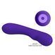 УЦЕНКА - Перезаряжаемый вибратор PRETTY LOVE - Matt Purple, DIS-BI-014667-3