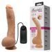 Вібратор на присосці Penis Vibration, BW-008039Z