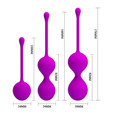 Набор вагинальных шариков BI-014505