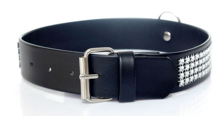 Ошейник из искуственной кожи с кристаллами Fetish Boss Series - Collar with crystals Silver, BS3300101