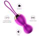 Вагінальні кульки з вібрацією та з пультом дистанційного керування FOX - Vibrating Silicone Kegel Balls USB, BS6300004