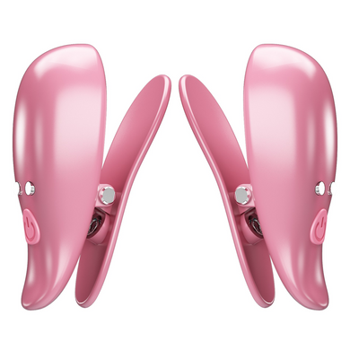 Вибростимуляторы для сосков с пультом ДУ Pretty Love - CAYLEY, 10 vibration functions, BI-300036W
