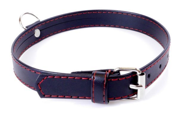 Нашийник зі штучної шкіри Fetish Boss Series - Collar Red Line, BS3300112